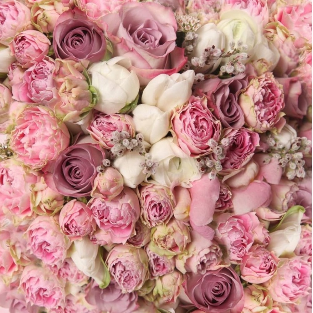 Meet your Posher, Cristina